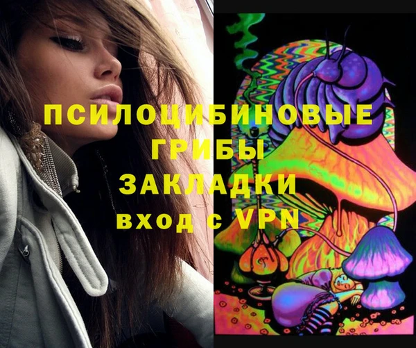 мет Арсеньев