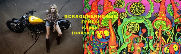 соль курить ск Аркадак